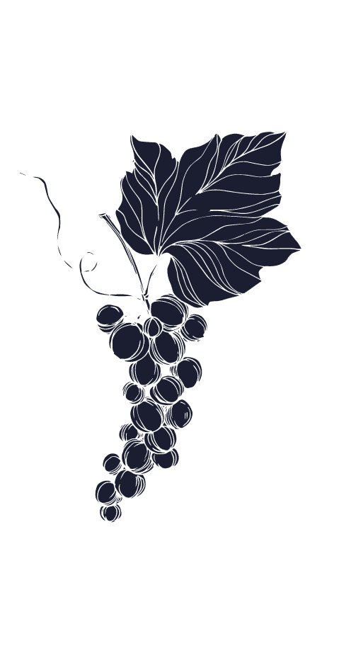 wine blue e1641905081219 | France et Vins, Votre lien privilégié avec les producteurs locaux